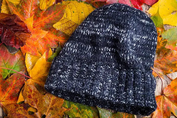hat,cap,beanie on wet colourful autumn fall leaves bad cold weather concept