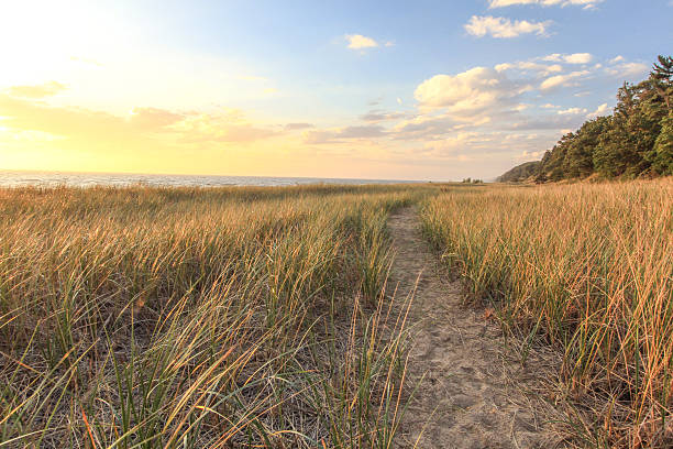 Sunset Horizon Over Golden Dunes Golden evening light on the sunset horizon with a trail winding through Great Lakes sand dunes and dune grass on Lake Michigan. lake michigan photos stock pictures, royalty-free photos & images