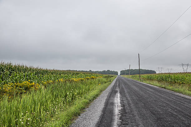 Country road A country road near St-Germain de Grantham dogger stock pictures, royalty-free photos & images