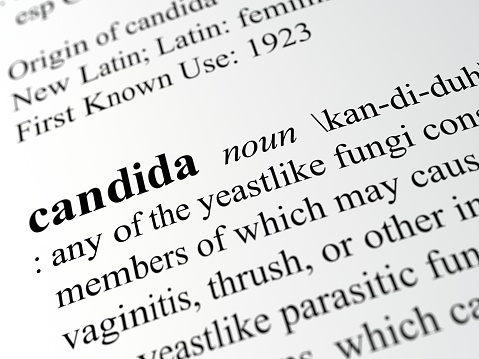 definition of  Candida