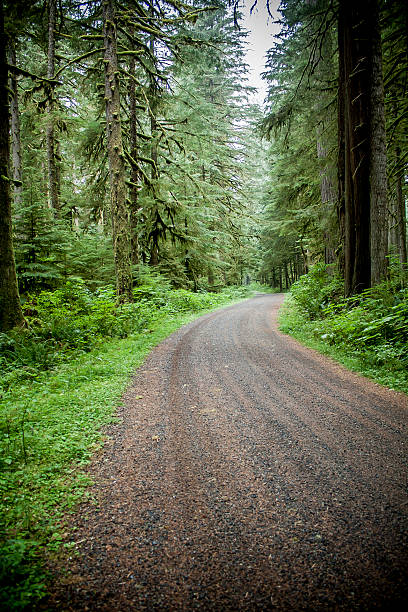 istock Road in Mount Rainier National Park Washington State 614994120