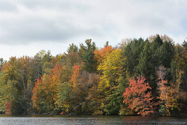 istock New England Brilliant fall foliage 614994318