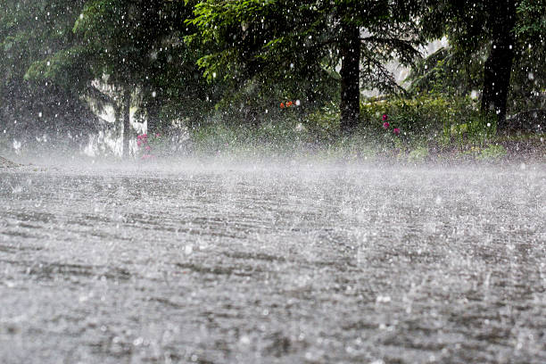 tempestade de verão. - chuva torrencial - fotografias e filmes do acervo