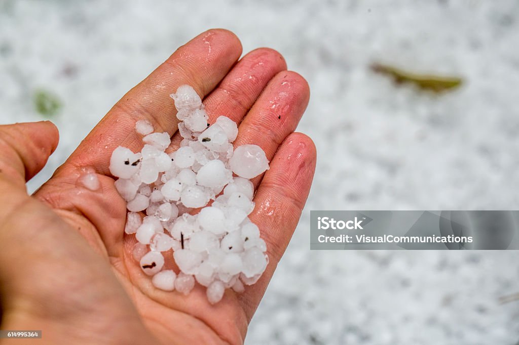 Hailstones in human hand. Hailstones in hand and on ground. Selective focus. Hail Stock Photo