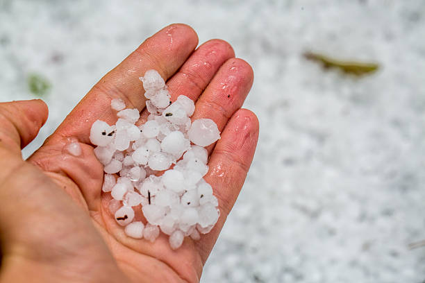 Hailstones in human hand. stock photo