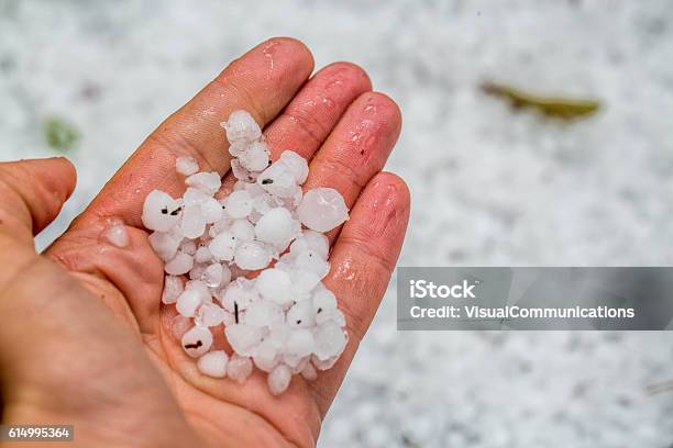 Hailstones In Human Hand Stock Photo - Download Image Now - Hail, Damaged, Hailstorm