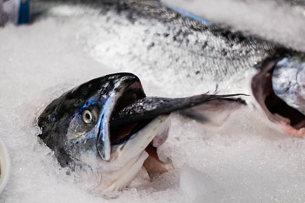 istock Fish at the Market 615072640