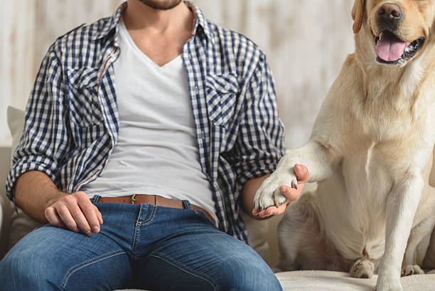 istock guy holding paw of his dog 615073420