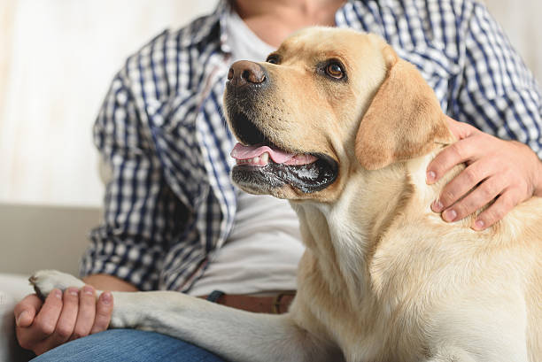 istock man petting his dog on a sofa 615073576