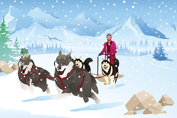 ilustraciones, imágenes clip art, dibujos animados e iconos de stock de hombre con perros trineos en la nieve durante el invierno - tobogganing vector winter snow
