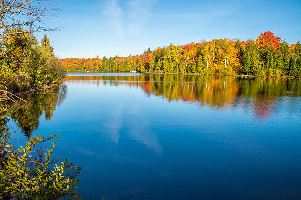 istock Autumn colors in Quebec, Canada 615074422