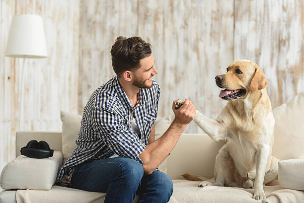 istock guy on the sofa holding paw of dog 615074510