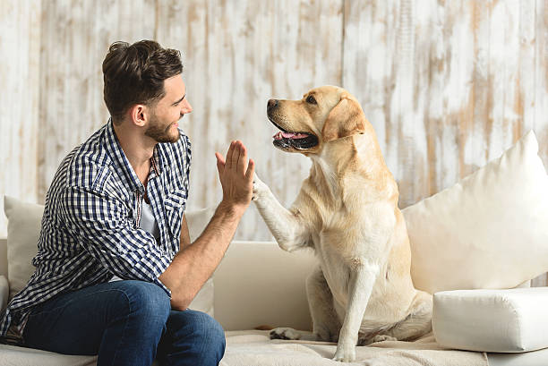 istock happy guy sitting on a sofa and looking at dog 615074564