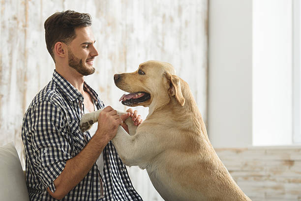 istock excited dog looking at its owner 615074784