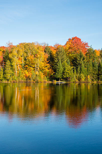 istock Autumn colors in Quebec, Canada 615075096