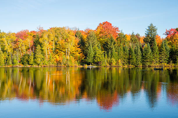 istock Autumn colors in Quebec, Canada 615075356