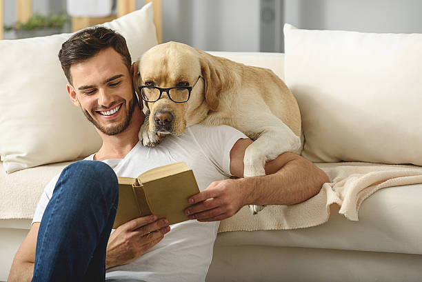 handsome guy holding book while smart pet read it clever dog in glasses reading book with a bearded man bachelor stock pictures, royalty-free photos & images