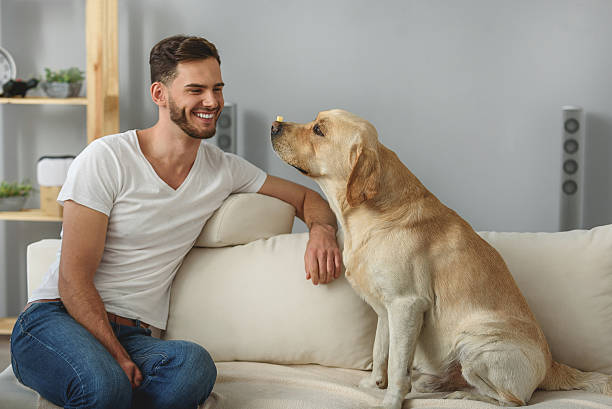 istock calm puppy holding cheese on its nose 615075676