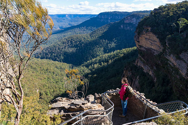 plataforma de observación con mujer mirando a las montañas - australian culture hiking australia people fotografías e imágenes de stock