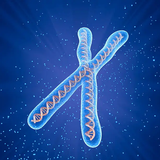 Photo of Chromosome molecule concept, Medical accurate 3D illustration