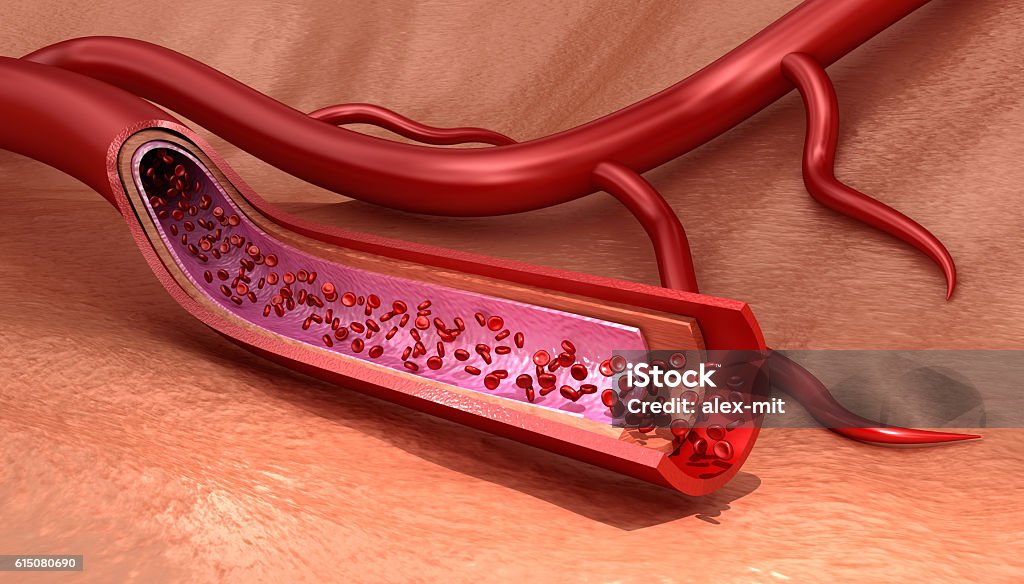 Vaisseau sanguin tranche de macro avec erythrocytes - Photo de Abstrait libre de droits
