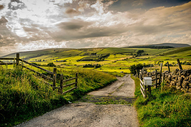 summer at west pennines moors - lancashire imagens e fotografias de stock