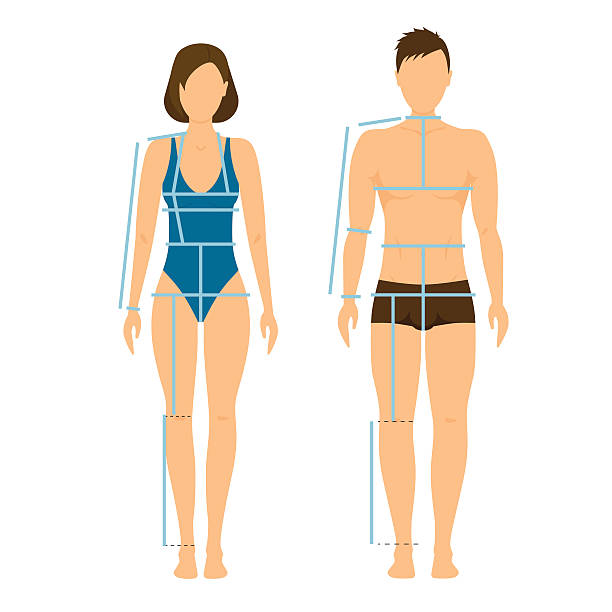 average shoulder width