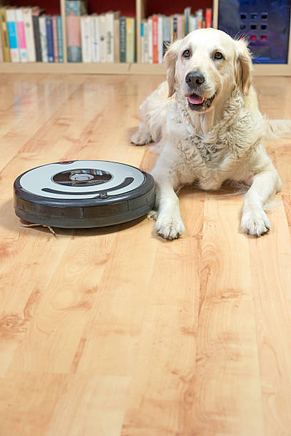 istock White dog and robotic vacuum cleaner. Vertically. 615086246