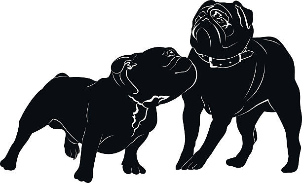 ilustraciones, imágenes clip art, dibujos animados e iconos de stock de perro de raza bulldog. pug. - french bulldog