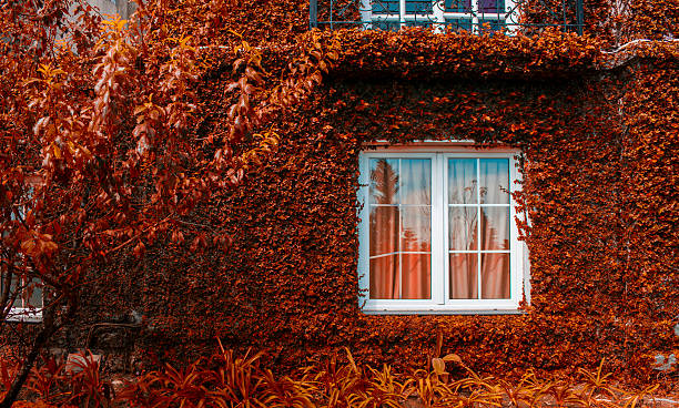 Autumnal background stock photo