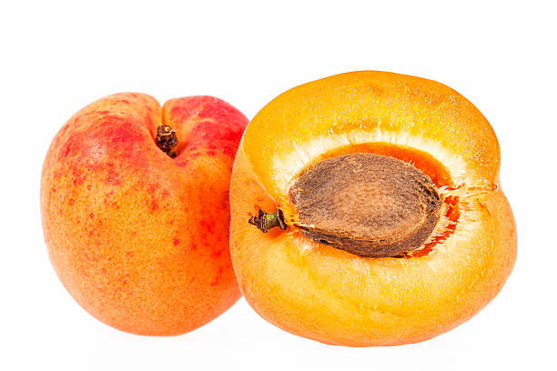 istock Fruits of apricot isolated on white background 615088028