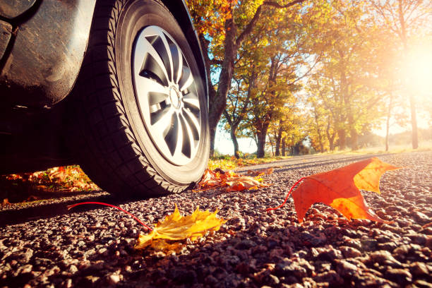 istock Car on asphalt road in autumn 615088102