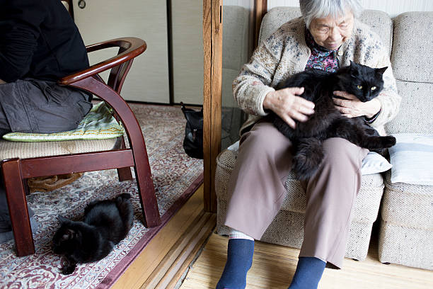 istock The old lady who held a cat on his lap 615088712