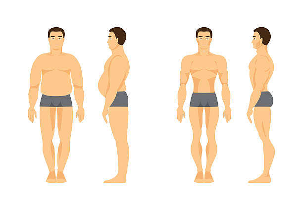 ilustrações, clipart, desenhos animados e ícones de masculino antes e depois da forma física - men muscular build abdominal muscle large