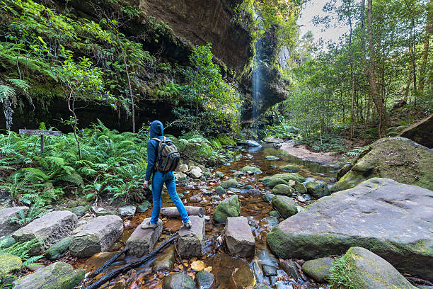 Woman hiking in wilderness of rainforest Rainforest wilderness area with waterfall, creek and woman hiking. Motion blur. Grand Canyon Walking Track, Blue Mountains National Park, NSW, Australia blue mountains australia photos stock pictures, royalty-free photos & images