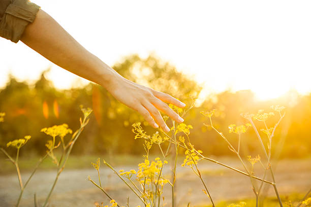 istock Springtime in a flowery field. Woman touching flowers 615091142
