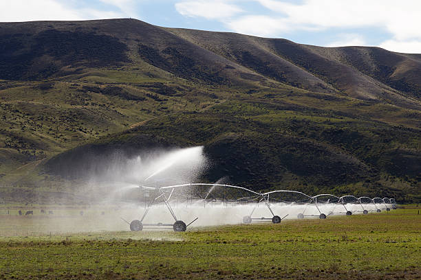 istock Irrigation using the center pivot sprinkler system and Mountain Background 615092436