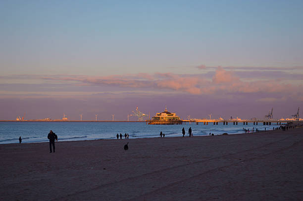 coast at sunset - blankenberge strand stockfoto's en -beelden