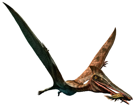 Pterodactylus with fish in beak