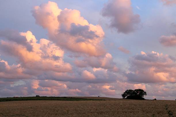 istock Lovely color contrast at sunset 615101148