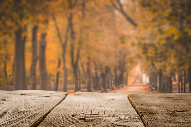 istock Autumn background with wood table and park 615102514