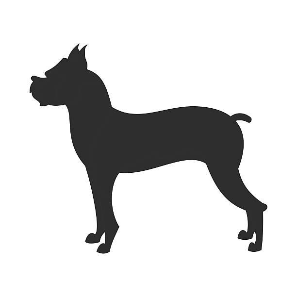 복서 개 벡터 블랙 실루엣 - white background side view dog boxer stock illustrations