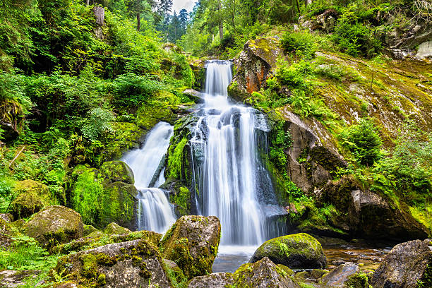triberg falls, jeden z najwyższych wodospadów w niemczech - black forest waterfall triberg landscape zdjęcia i obrazy z banku zdjęć