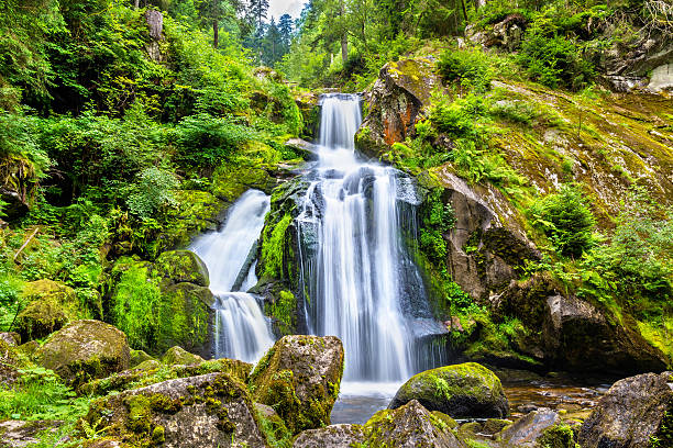 triberg falls, one of the highest waterfalls in germany - natural phenomenon waterfall rock tranquil scene imagens e fotografias de stock