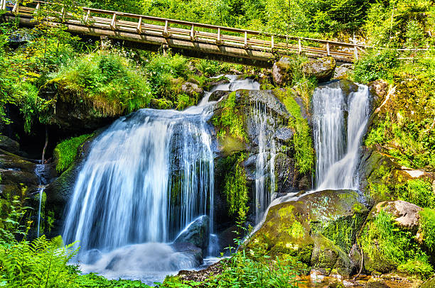 cachoeiras triberg, uma das cachoeiras mais altas da alemanha - black forest waterfall triberg landscape - fotografias e filmes do acervo