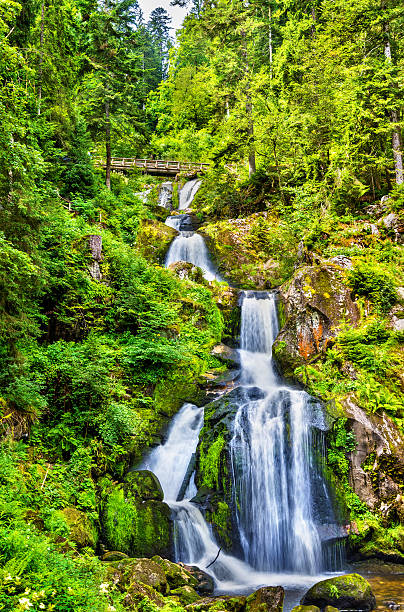 istock Triberg Falls, one of the highest waterfalls in Germany 615104576