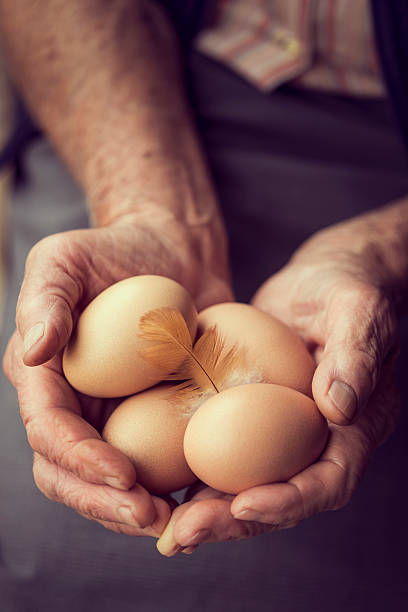uova nazionali - animal egg eggs food giving foto e immagini stock