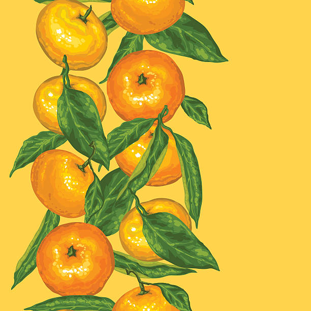 istock Seamless pattern with mandarins. Tropical fruits and leaves 615105256