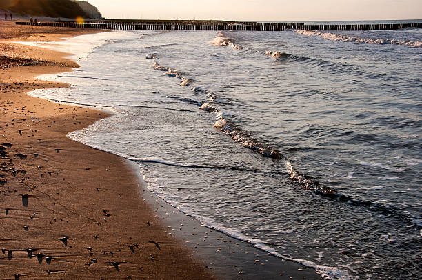 istock Coast of the Baltic Sea 615105742