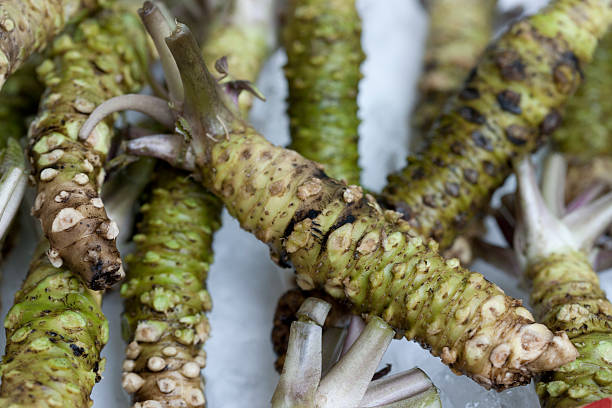 istock Wasabi roots in a market 615106168